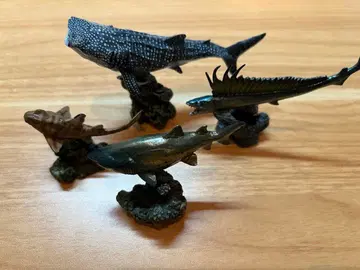 생물대도감 상어 모음 세트