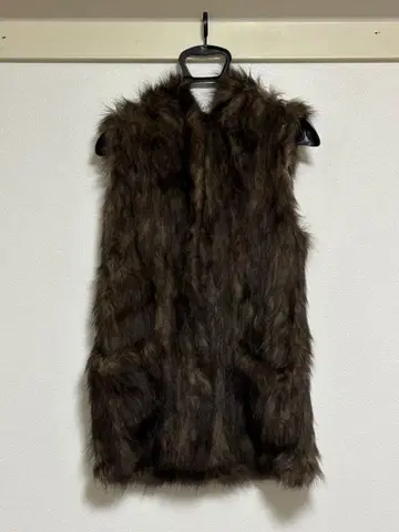 브라운 퍼 베스트 질레