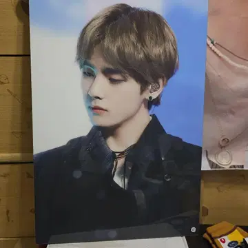 BTS 태태 마스터 액자 A3