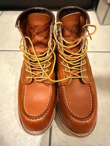 레드윙 875 아이리쉬 세터