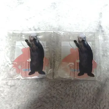 카프 복권 x 토바 수족관 랏코의 메이짱 복권 펜 스탠드 메이 수줍은