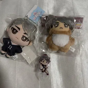 하이큐 미야 오사무 모음