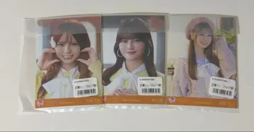 키누레비 메조 포르테 3세트 묶음 판매 미개봉 새상품