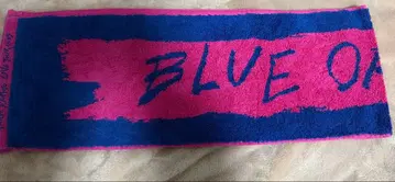 쿄모토 타이카 BLUE OF LIBERTY 머플러 타월 덤 포함