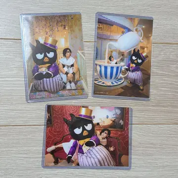 신천지개벽집단 지그재그 퓨로랜드 카게마루 브로마이드 세트