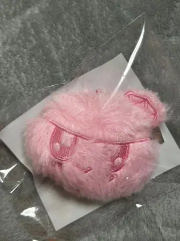 seventeen new 모자 꽁지 키링