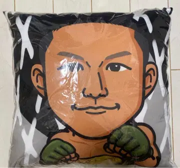 호리구치 쿄지 쿠션