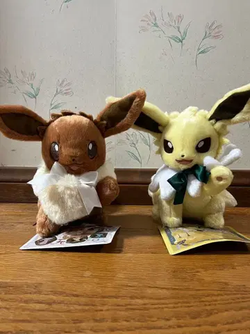 이브이 컬렉션 썬더스 이브이 2체 세트 봉제 인형