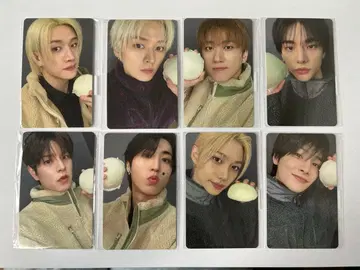 스키즈 프리리스닝 FANS 트레이딩 카드 컴플리트