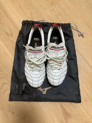 모렐리아 네오 IV JAPAN MIX 교체식 26.5cm