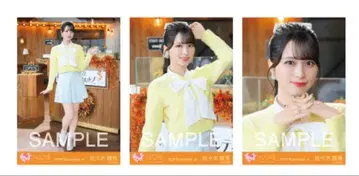 =LOVE 이코러브 사사키 마이카 코모레비 메조포르테