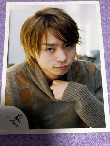 사쿠라이 쇼 공식 사진 23