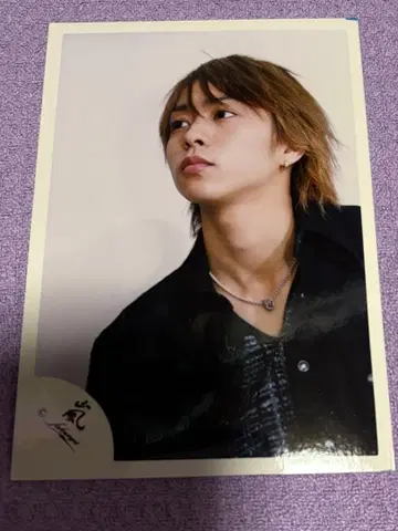 사쿠라이 쇼 공식 사진 24