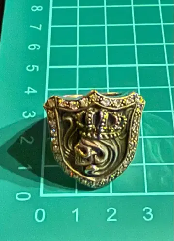 SV925 남성용 21호 27g 업 반지