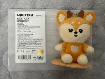 miniteen 조슈아 shuasumi 마그넷 키링