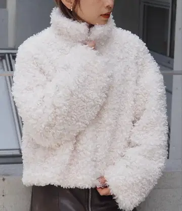 푸들 퍼 블루종