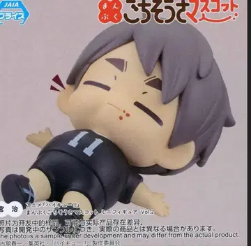 하이큐 고치소사 마스코트 미야 오사무