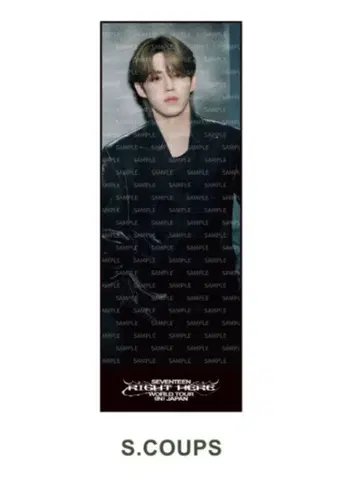 SEVENTEEN RIGHT HERE 빅 사진 타월 에스쿱스