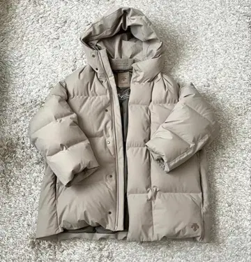 Bshop 별주 DESCENTE 올테라인 미즈사와 다운