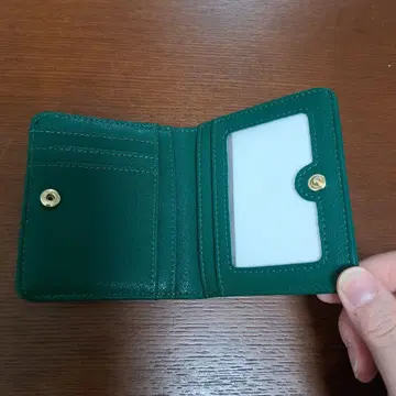 그린 접이식 지갑