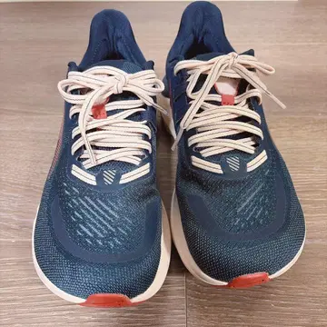 ALTRA PROVISION 6