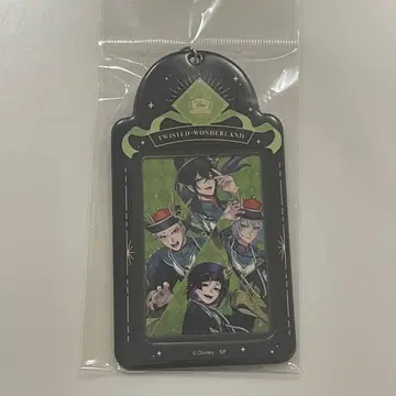 트위스테 카드 홀더&카드 세트 디아소니아