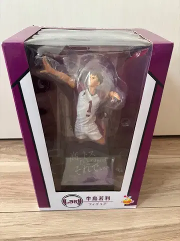 하이큐!! 우시지마 와카토시 피규어