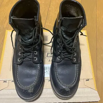 RED WING 아이리쉬 세터