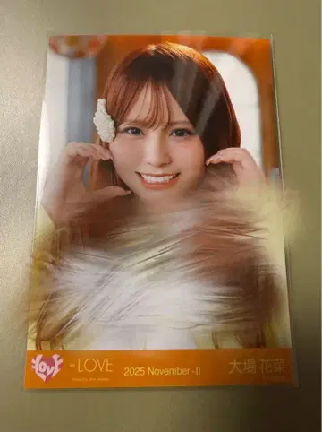 나무 사이로 비치는 햇살 메조포르테 오바 하나 요리 친필 이코러브