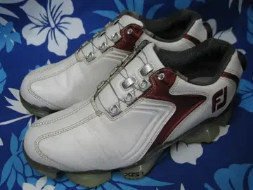 FootJoy XPS-1 골프화 24.5cm