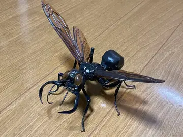 생물대도감 어드밴스 메가라라 가루다