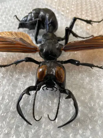 생물대도감 어드밴스 메가라라 가루다