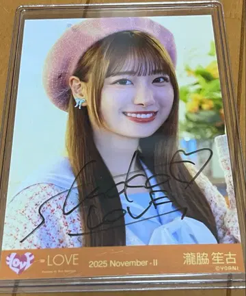 이코럽 타키와키 쇼코 친필 나무 사이로 비치는 햇살 메조포르테 요리