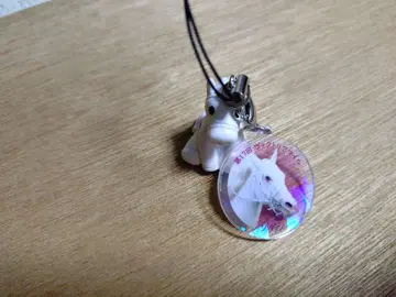 아이돌 호스 미니 컬렉션 소다시 2022 제17회 빅토리아 마일