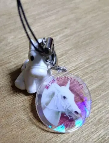 아이돌 호스 미니 컬렉션 소다시 2022 제17회 빅토리아 마일