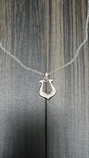 실버 목걸이 BLESS 말발굽형