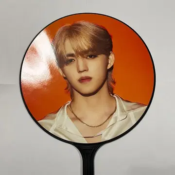 SEVENTEEN Be The Sun 에스크 부채