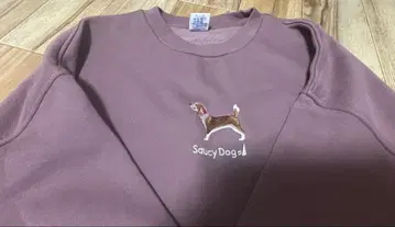 Saucy Dog 개 자수 트레이닝복 M 사이즈