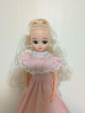 리카짱 캐슬 리카짱 본체 & 드레스