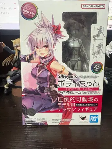 SHFiguarts 바디짱