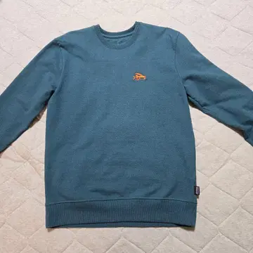 patagonia Updraft 크루 M 파랑 트레이닝복