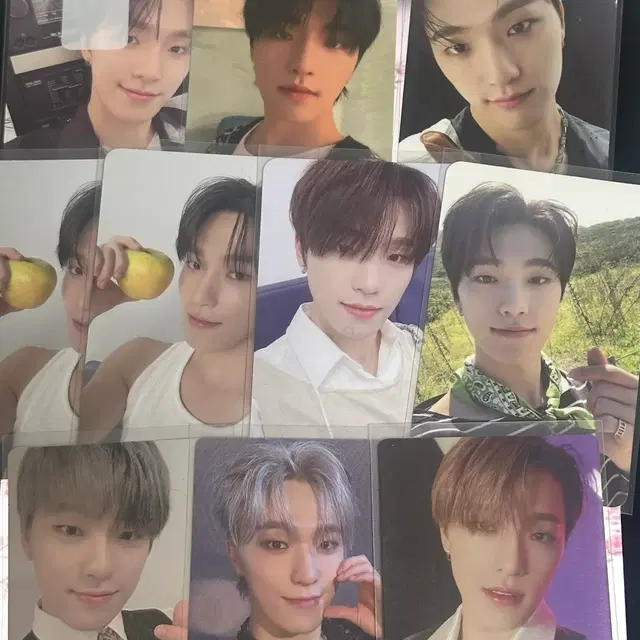 세븐틴 디노 이찬 포토카드 포카 일괄 양도