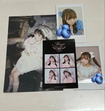 우메다 미유 생일 축제 우선 입장 혜택