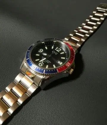 시티즌 다이버즈