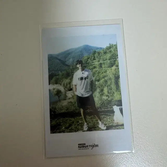 세븐틴 민규 나나투어 포카