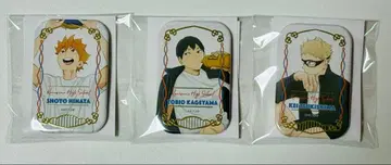 하이큐 스퀘어 캔뱃지 쿨다운 히나타 카게야마 츠키시마