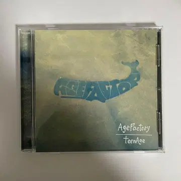 Age Factory CD teenage