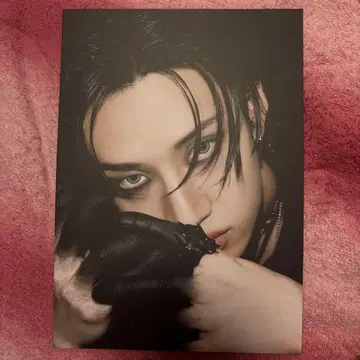 스키즈 DO IT 일반ver 방찬 사진보드