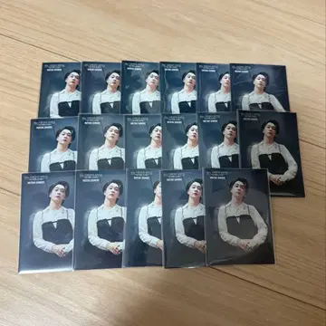 미세스 그린애플 미세스 포토 카드 트레이딩 카드 호완지 031