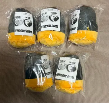 WIND.BREAKER 포테코로 니이